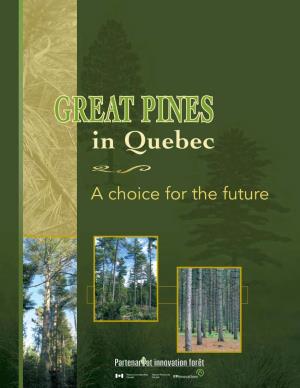 In Quebec Through the GREAT PINES Establishment of Plantations and Through Natural Regeneration