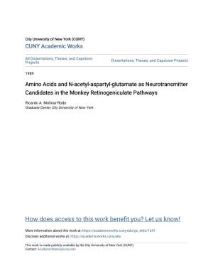 Amino Acids and N-Acetyl-Aspartyl-Glutamate As Neurotransmitter Candidates in the Monkey Retinogeniculate Pathways