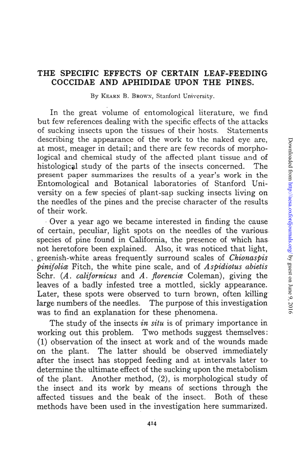 The Specific Effects of Certain Leaf-Feeding Coccidae and Aphididae Upon the Pines