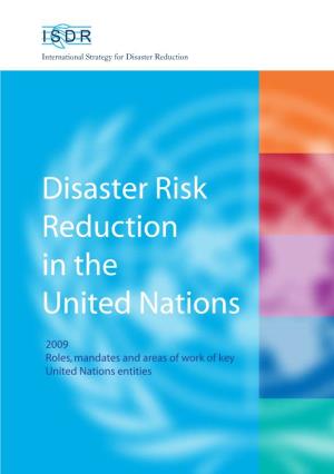 Disaster Risk Reduction in the United Nations