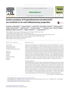 Surface Proteins of Propionibacterium Freudenreichii Are Involved in Its Anti-Inflammatory Properties