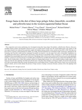 Forage Fauna in the Diet of Three Large Pelagic Fishes (Lancetfish, Swordfish