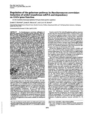 Induction of Uridyl Transferase Mrna-And Dependency on GAL4 Gene Function (In Vitro Translation/Immunoprecipitation/GAL Gene Cluster/Positive Regulation) JAMES E