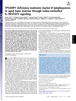 TP53INP1 Deficiency Maintains Murine B Lymphopoiesis in Aged Bone Marrow Through Redox-Controlled IL-7R/STAT5 Signaling