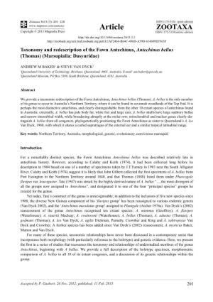 Taxonomy and Redescription of the Fawn Antechinus, Antechinus Bellus (Thomas) (Marsupialia: Dasyuridae)