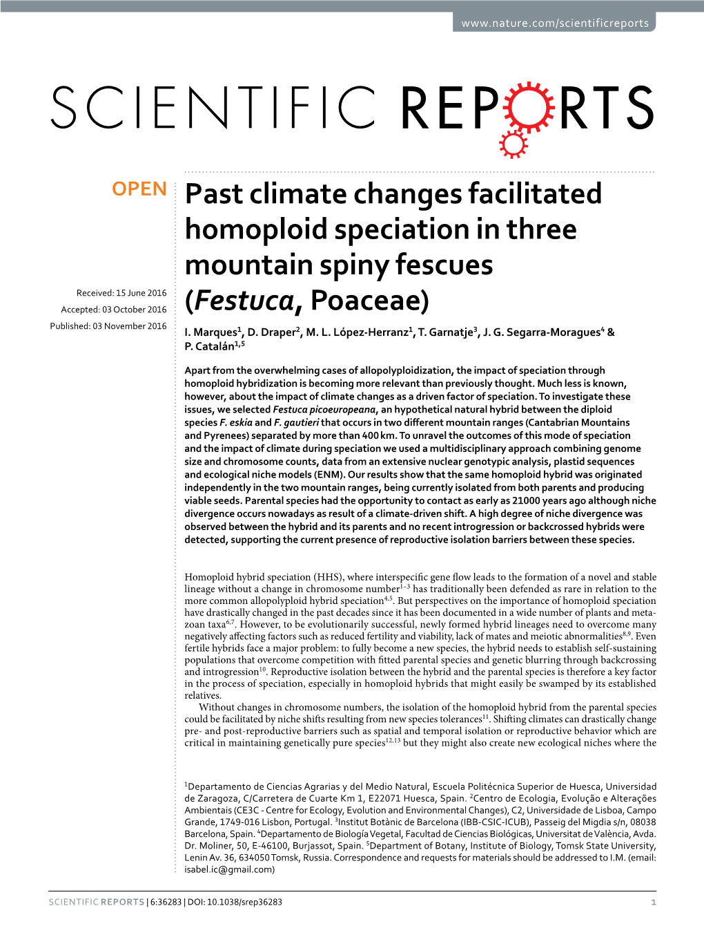 Past Climate Changes Facilitated Homoploid Speciation in Three Mountain Spiny Fescues (Festuca, Poaceae)