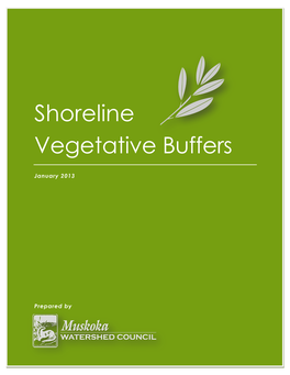 Shoreline Vegetative Buffers
