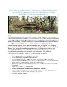 Logan River at Rendezvous Park, Channel and Floodplain Restoration: Crack Willow (Salix Fragilis) Issues and Management Strategi