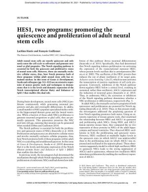HES1, Two Programs: Promoting the Quiescence and Proliferation of Adult Neural Stem Cells