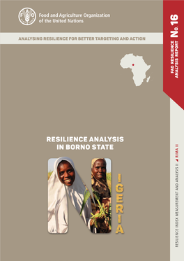 Resilience Analysis in Borno State, Nigeria