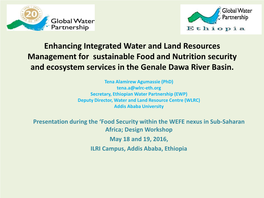 Ethiopian Water Partnership (EWP) Deputy Director, Water and Land Resource Centre (WLRC) Addis Ababa University