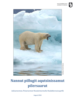 Nannut Pillugit Aqutsinissamut Pilersaarut