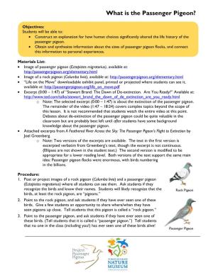 Lesson 1: What Is the Passenger Pigeon?
