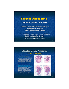 Scrotal Ultrasound