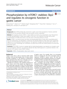 Phosphorylation by Mtorc1 Stablizes Skp2 and Regulates Its