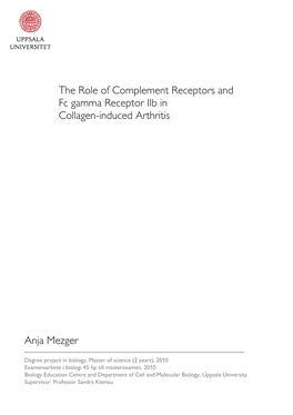 The Role of Complement Receptors and Fc Gamma Receptor Iib in Collagen-Induced Arthritis