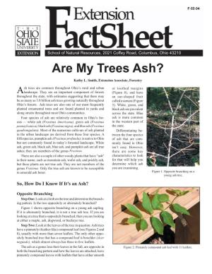Are My Trees Ash?