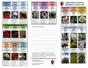 Coronado National Memorial Plant List