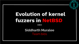 Evolution of Kernel Fuzzers in Netbsd