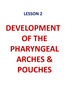 LESSON 2 DEVELOPMENT of the PHARYNGEAL ARCHES & POUCHES Objectives by the End of This Lesson You Should Be Able To: 1