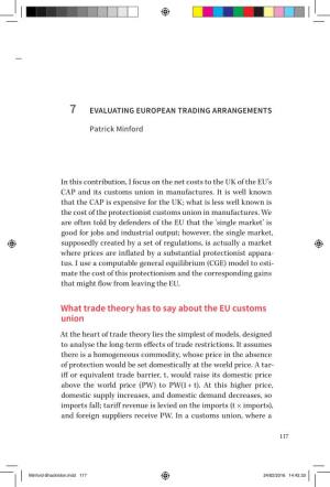 What Trade Theory Has to Say About the EU Customs Union