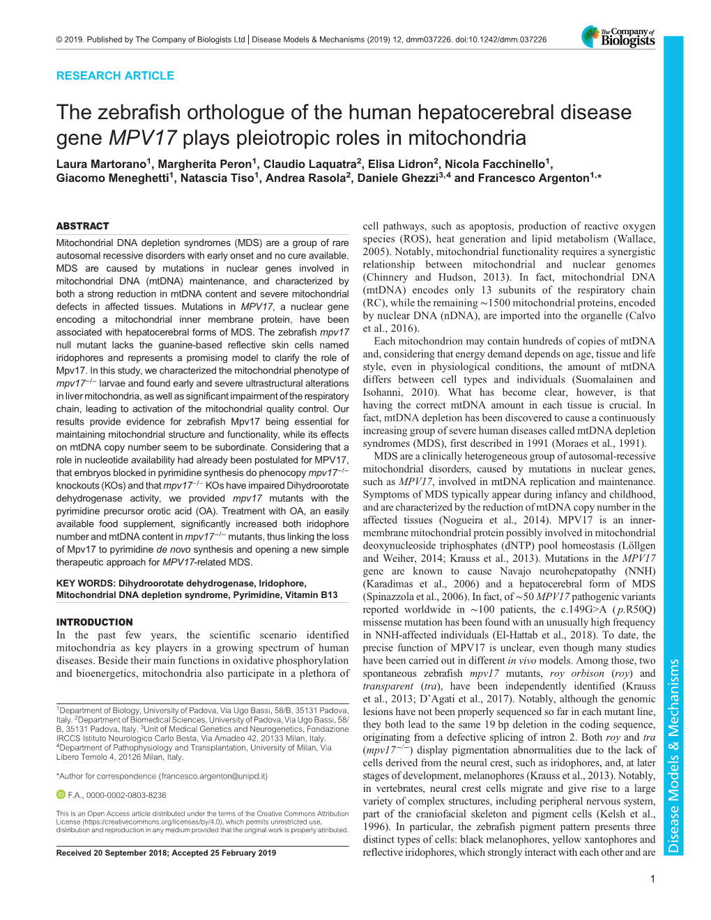 The Zebrafish Orthologue of the Human Hepatocerebral Disease