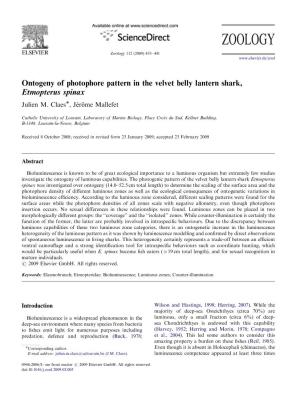 Ontogeny of Photophore Pattern in the Velvet Belly Lantern Shark, Etmopterus Spinax Julien M