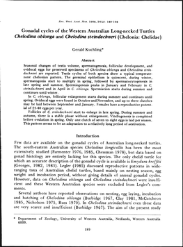 Gonadal Cycles of the Western Australian Long-Necked Turtles Chelodina Oblonga and Chelodina Steindachneri (Chelonia: Chelidae)