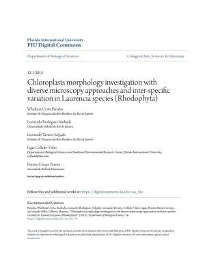 Chloroplasts Morphology Investigation With