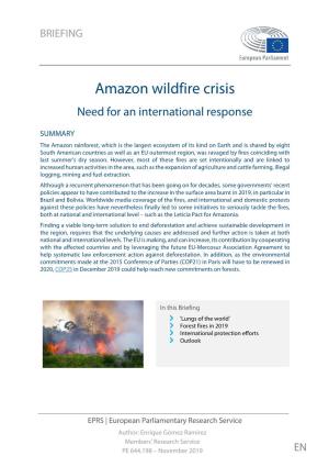 Amazon Wildfire Crisis: Need for an International Response