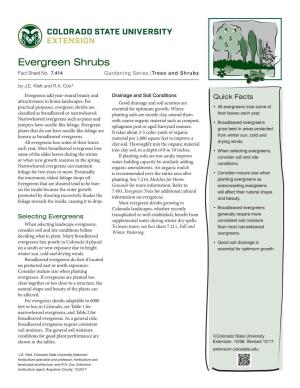 Evergreen Shrubs Fact Sheet No