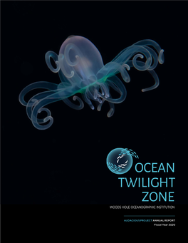 2020 Ocean Twilight Zone Annual Report