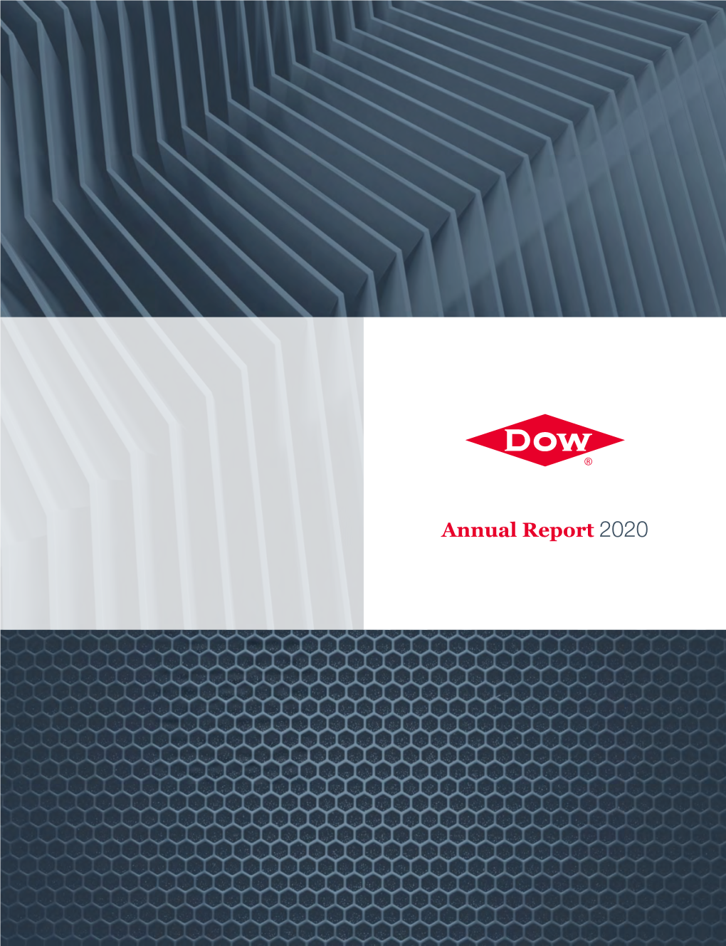 Annual Report 2020