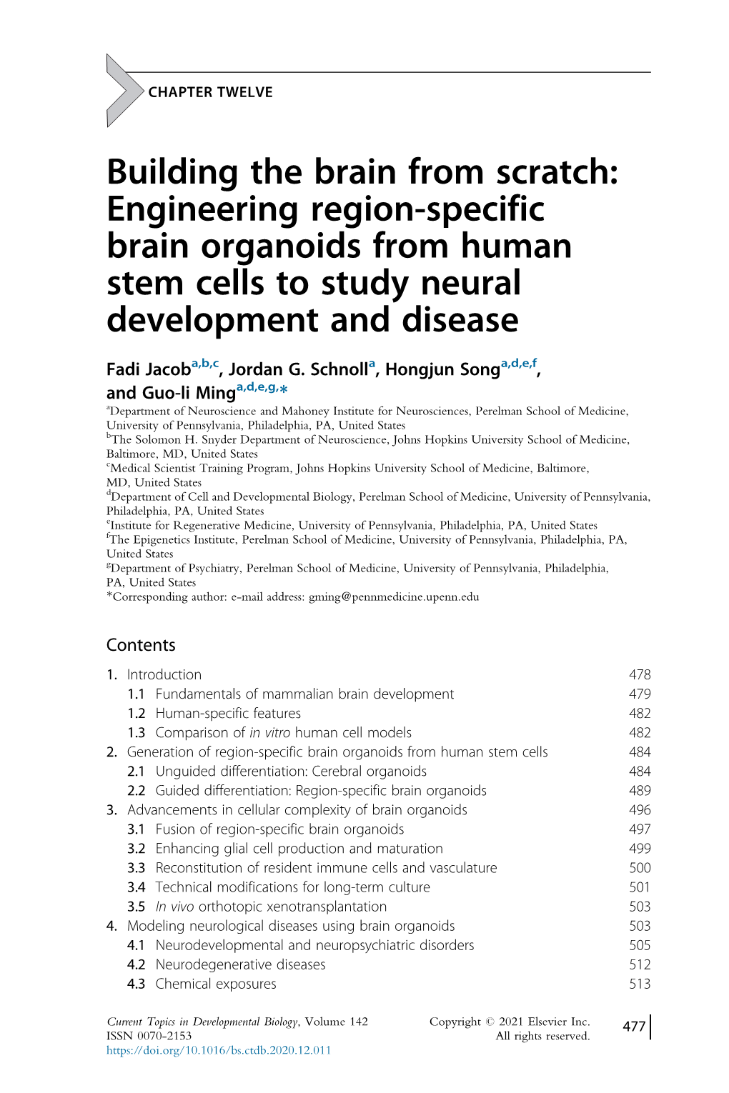 Engineering Region-Specific Brain Organoids from Human Stem Cells to Study Neural Development and Disease