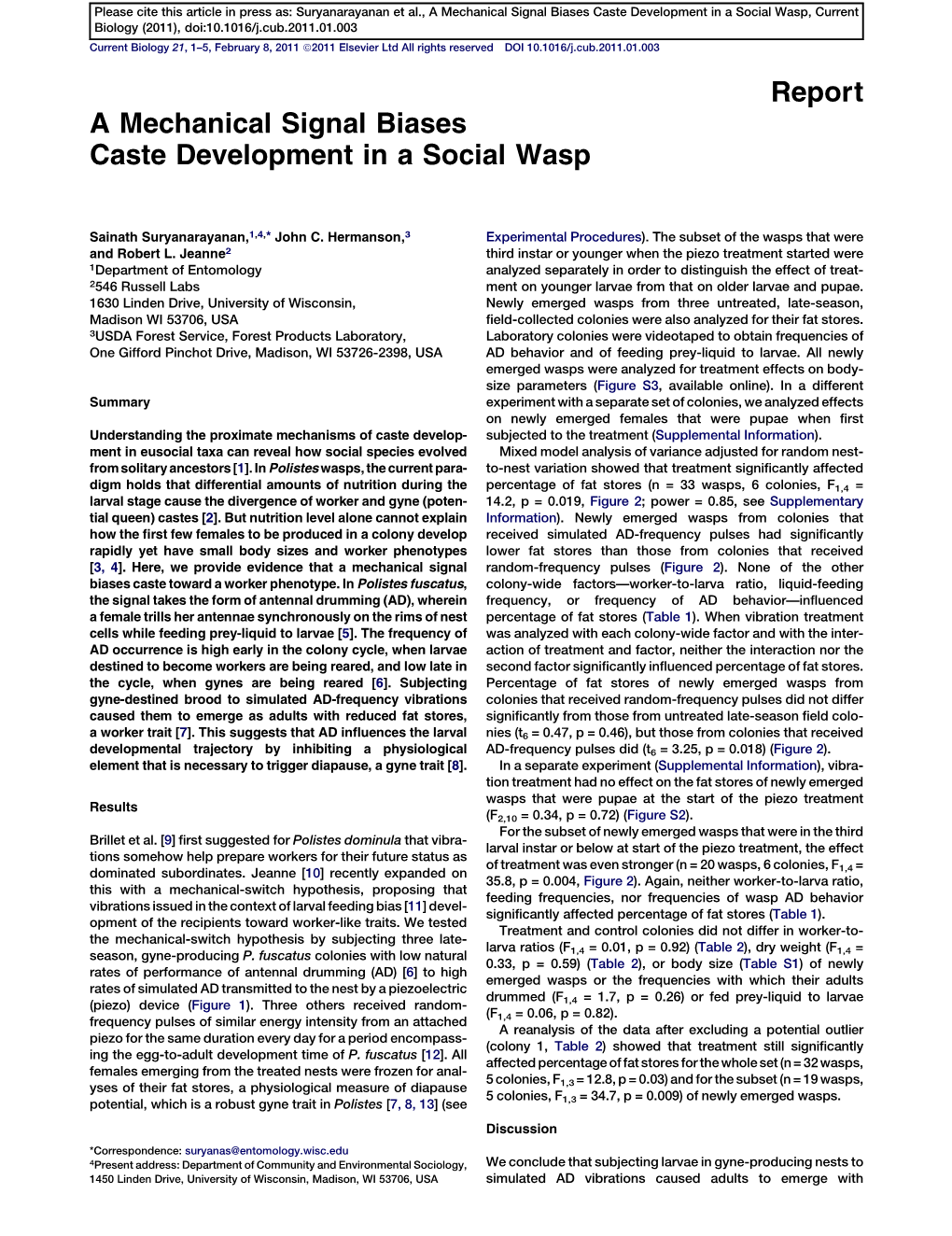 A Mechanical Signal Biases Caste