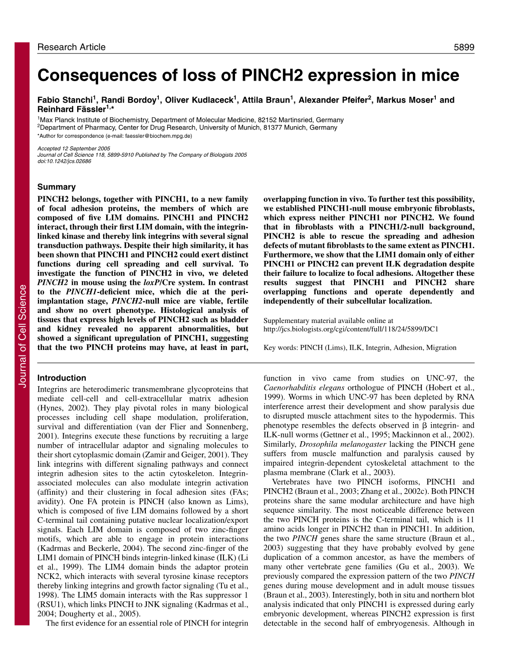 Consequences of Loss of PINCH2 Expression in Mice