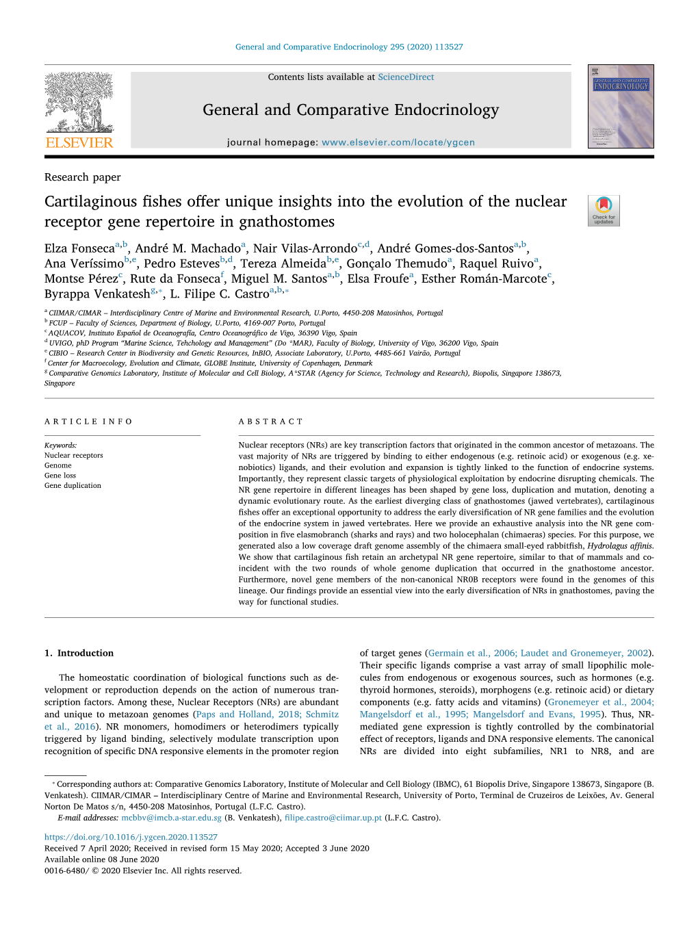 Cartilaginous Fishes Offer Unique Insights Into the Evolution of The