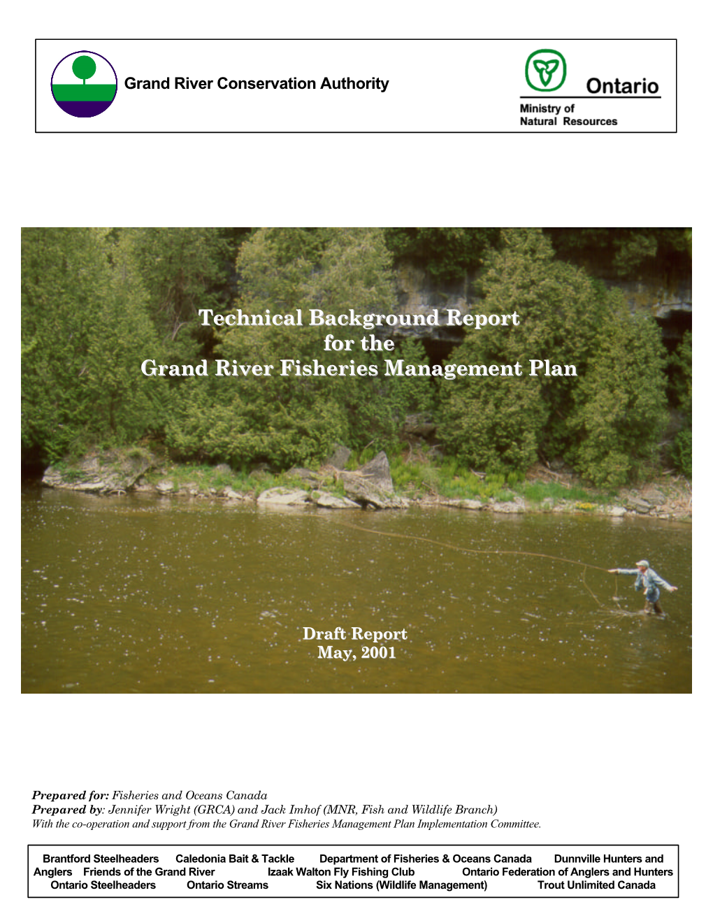 Grand River Fish Plan Technical Background Report