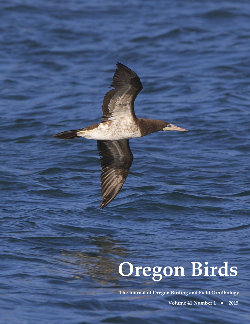 Oregon Birds