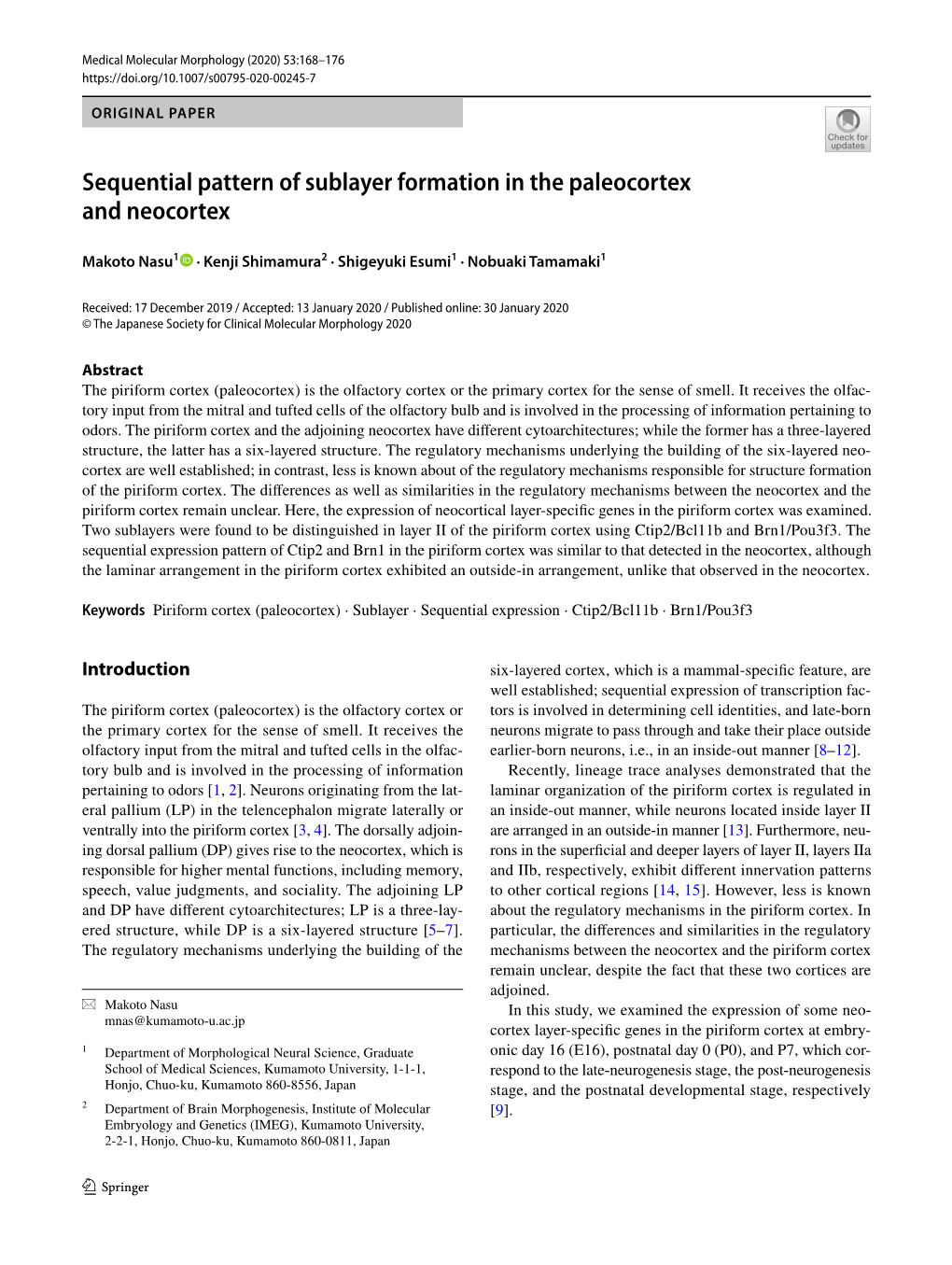 Sequential Pattern of Sublayer Formation in the Paleocortex and Neocortex