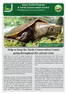 Help Us Keep the Turtle Conservation Centre Going Throughout the Current Crisis Right Now, the World Is Going Through an Materials and Some Items of Food