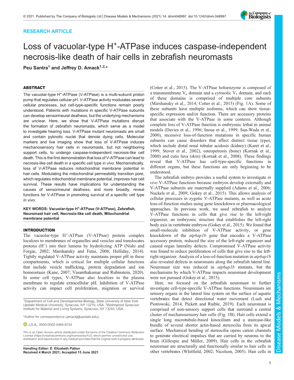 Loss of Vacuolar-Type H+-Atpase Induces Caspase-Independent Necrosis-Like Death of Hair Cells in Zebrafish Neuromasts Peu Santra1 and Jeffrey D