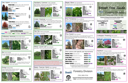Street Tree Guide