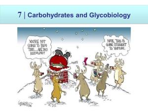 7 | Carbohydrates and Glycobiology