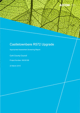 Castletownbere R572 Upgrade