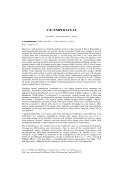 Calymperaceae