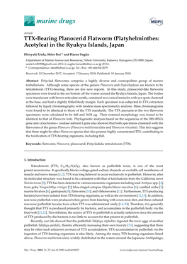 Platyhelminthes: Acotylea) in the Ryukyu Islands, Japan