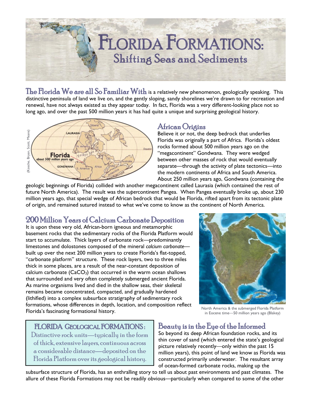 African Origins 200 Million Years of Calcium Carbonate Deposition