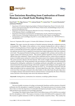 Low Emissions Resulting from Combustion of Forest Biomass in a Small Scale Heating Device
