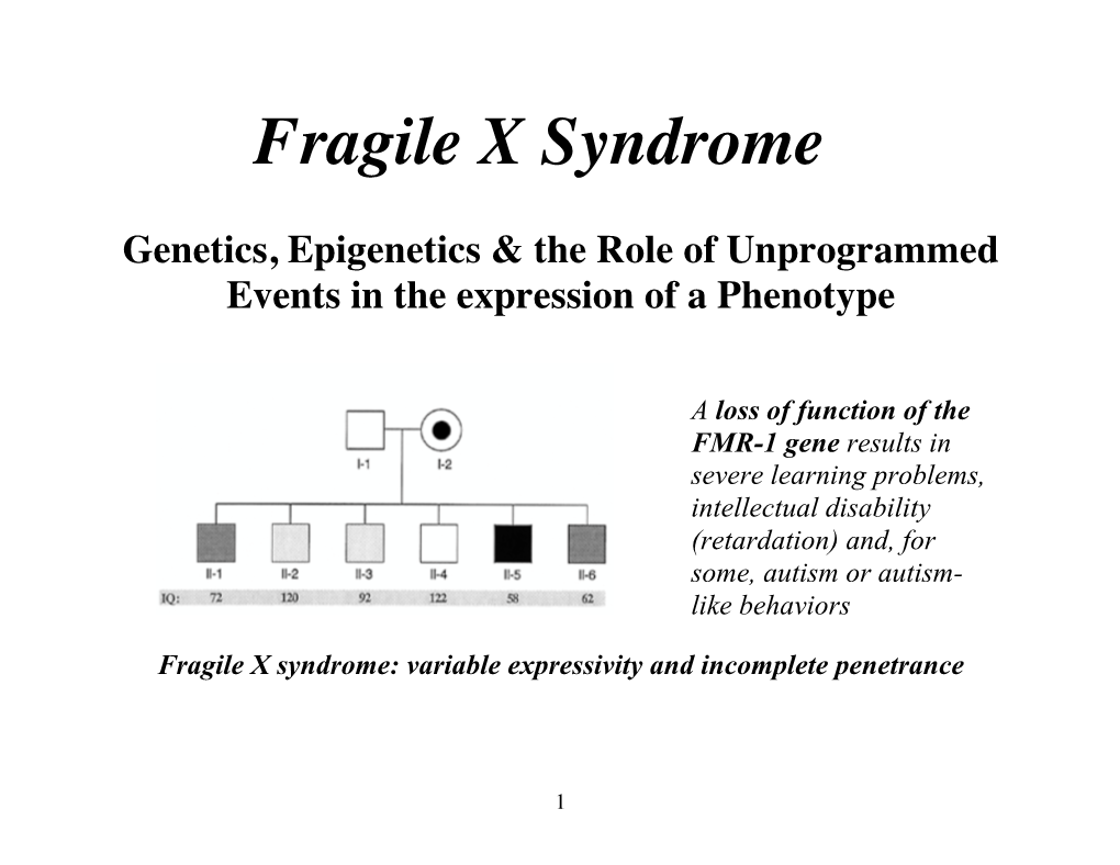 Fragile X Syndrome